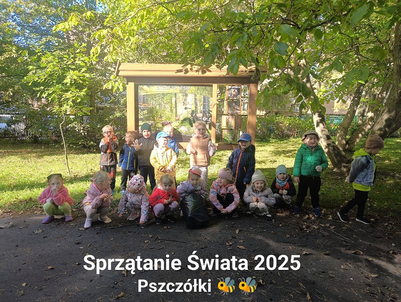 sprzątanie świata